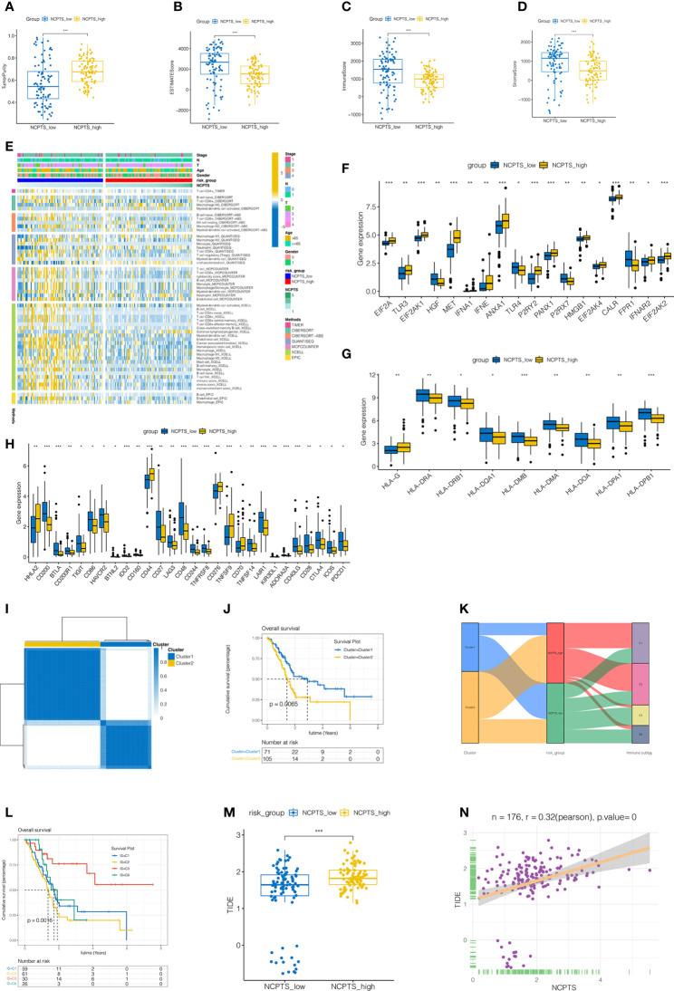 https://cdn.ncbi.nlm.nih.gov/pmc/blobs/6b8c/9585241/5c0d3a7e72f4/fimmu-13-1022420-g006.jpg