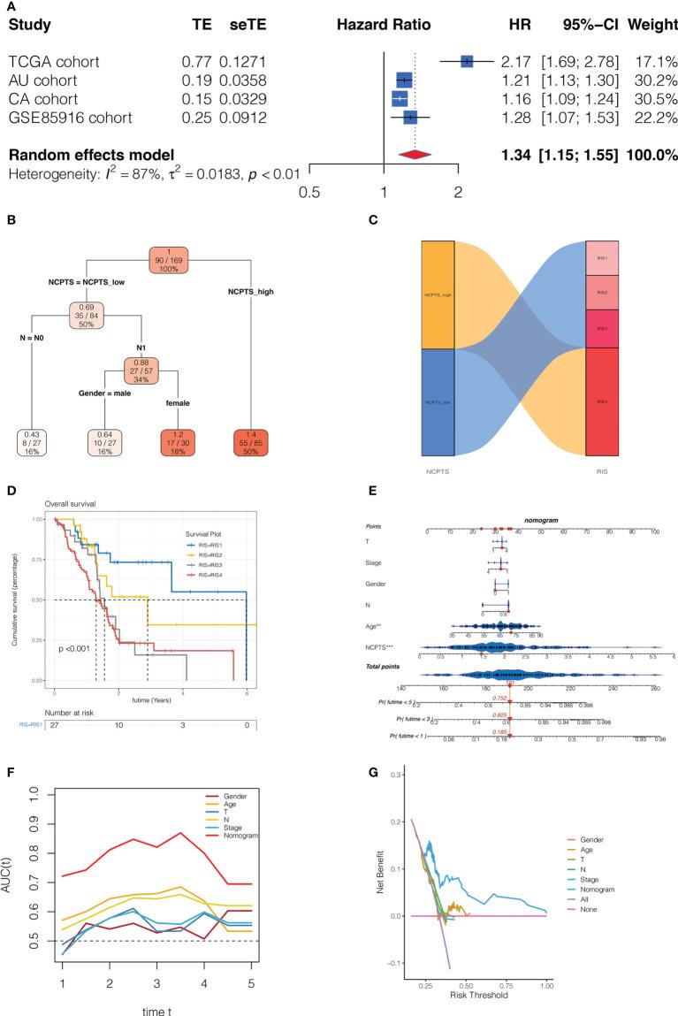 https://cdn.ncbi.nlm.nih.gov/pmc/blobs/6b8c/9585241/5c5bcb2a6304/fimmu-13-1022420-g008.jpg