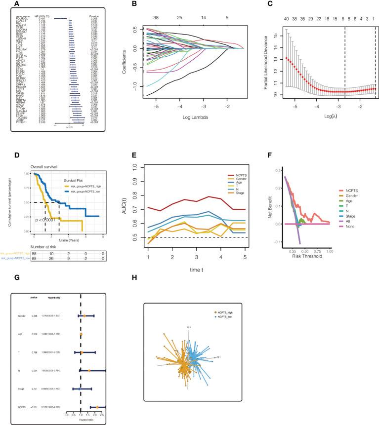 https://cdn.ncbi.nlm.nih.gov/pmc/blobs/6b8c/9585241/b03af29ef956/fimmu-13-1022420-g004.jpg