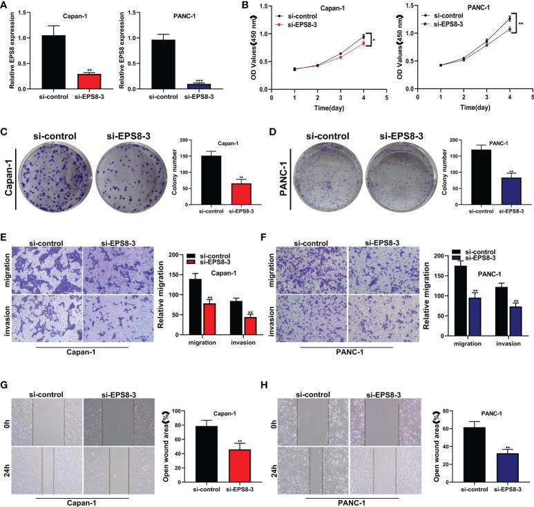 https://cdn.ncbi.nlm.nih.gov/pmc/blobs/6b8c/9585241/e8bcb5e93563/fimmu-13-1022420-g009.jpg