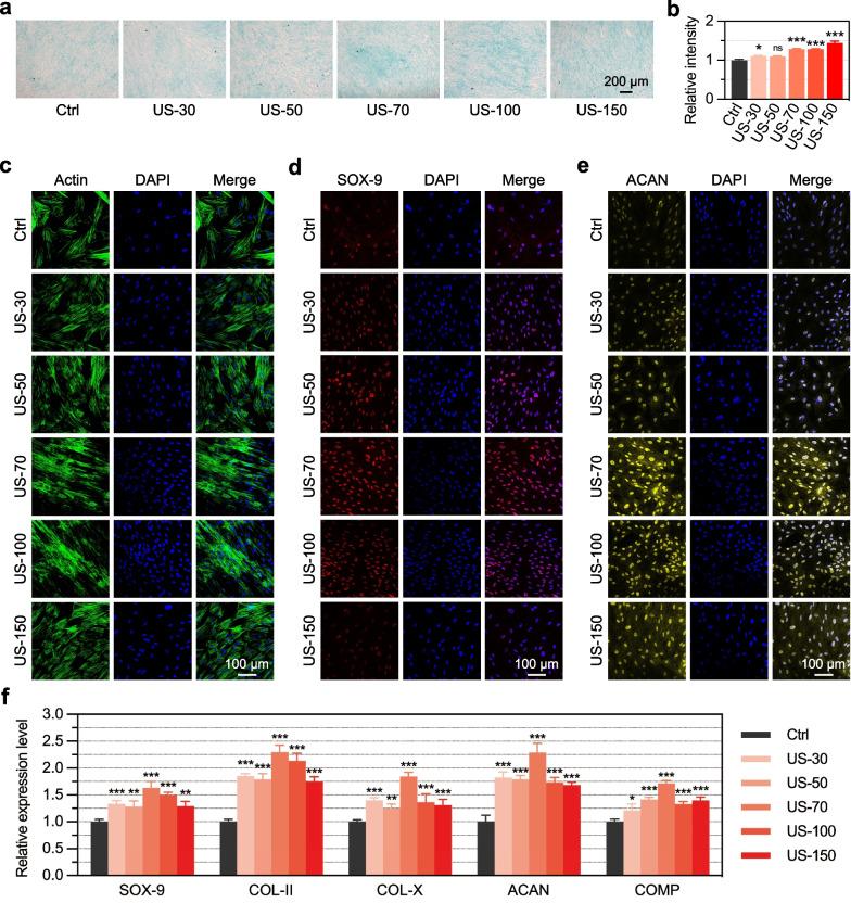 https://cdn.ncbi.nlm.nih.gov/pmc/blobs/6b8d/10111837/53875bc69770/13287_2023_3296_Fig2_HTML.jpg