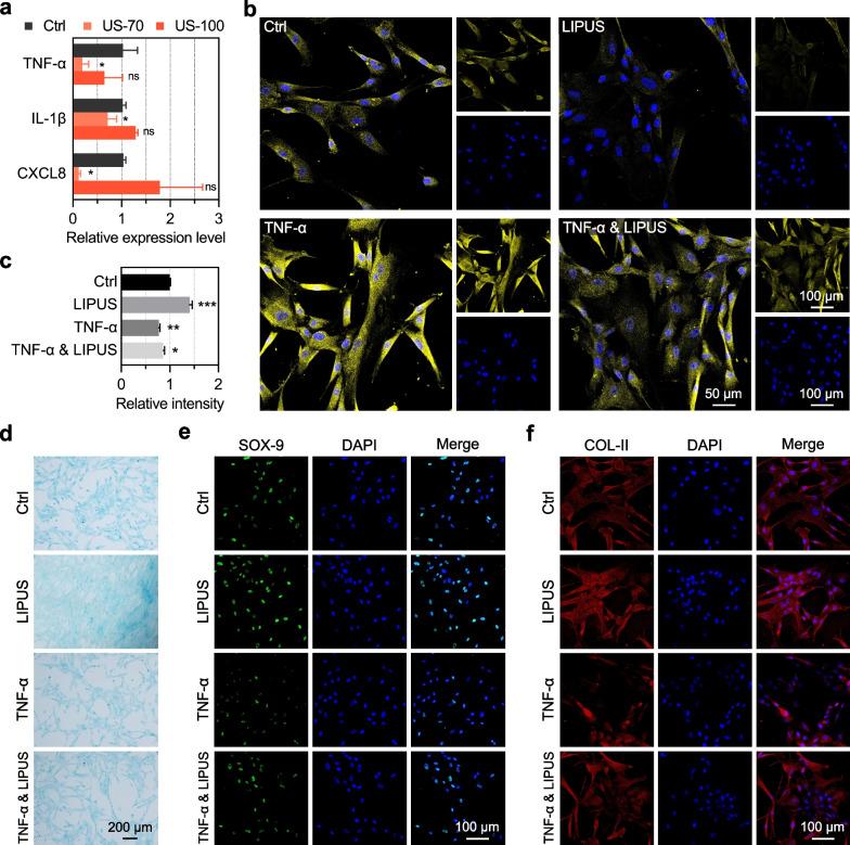 https://cdn.ncbi.nlm.nih.gov/pmc/blobs/6b8d/10111837/54d65446516c/13287_2023_3296_Fig5_HTML.jpg