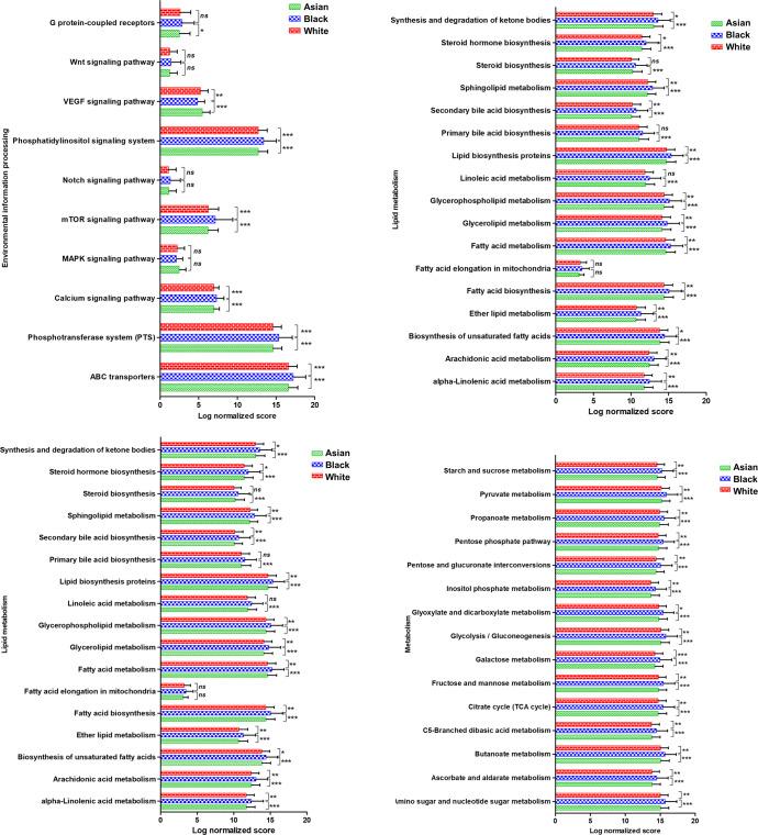 https://cdn.ncbi.nlm.nih.gov/pmc/blobs/6b8d/9880005/376d5af3c928/41523_2023_505_Fig7_HTML.jpg