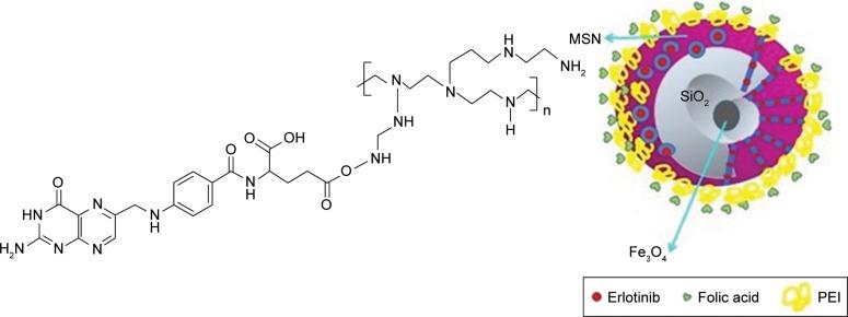 https://cdn.ncbi.nlm.nih.gov/pmc/blobs/6b8e/6417854/02a1420b717f/ijn-14-1633Fig8.jpg