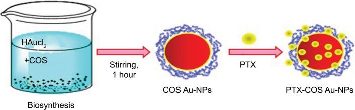 https://cdn.ncbi.nlm.nih.gov/pmc/blobs/6b8e/6417854/2768c0ed383b/ijn-14-1633Fig4.jpg