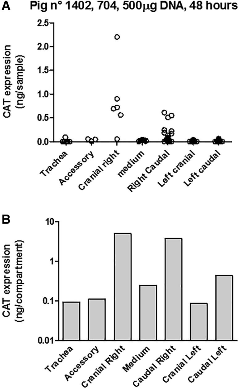 https://cdn.ncbi.nlm.nih.gov/pmc/blobs/6b8e/6426709/c11746599294/gr3.jpg