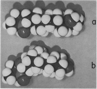 https://cdn.ncbi.nlm.nih.gov/pmc/blobs/6b8f/534016/f750ec73b9ca/pnas00107-0032-a.jpg