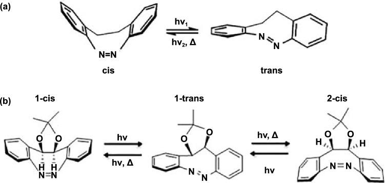 https://cdn.ncbi.nlm.nih.gov/pmc/blobs/6b8f/9243213/f0e48d745830/40820_2022_876_Fig7_HTML.jpg