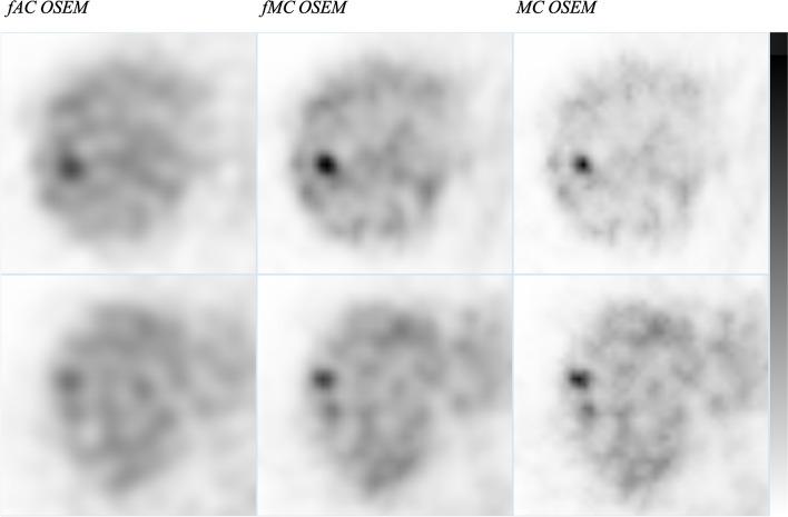 https://cdn.ncbi.nlm.nih.gov/pmc/blobs/6b91/10238363/3cbafa16e057/40658_2023_557_Fig2_HTML.jpg