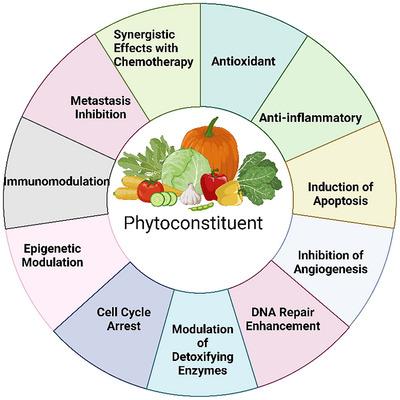 https://cdn.ncbi.nlm.nih.gov/pmc/blobs/6b91/12351433/cb1c548923ce/CBDV-22-e202402479-g001.jpg