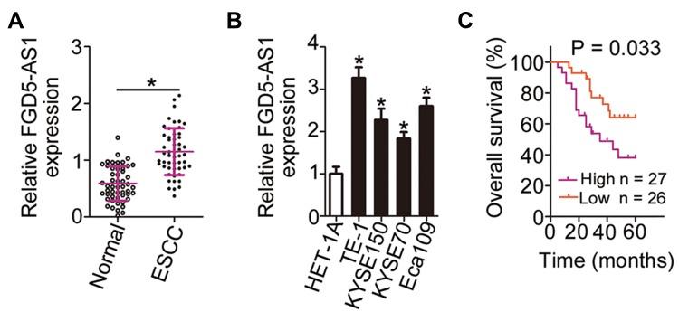 https://cdn.ncbi.nlm.nih.gov/pmc/blobs/6b93/7105361/c3fe8ba8457c/CMAR-12-2265-g0001.jpg