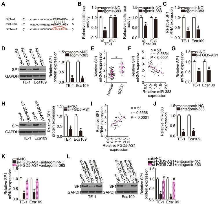 https://cdn.ncbi.nlm.nih.gov/pmc/blobs/6b93/7105361/cb44dd961a6a/CMAR-12-2265-g0004.jpg