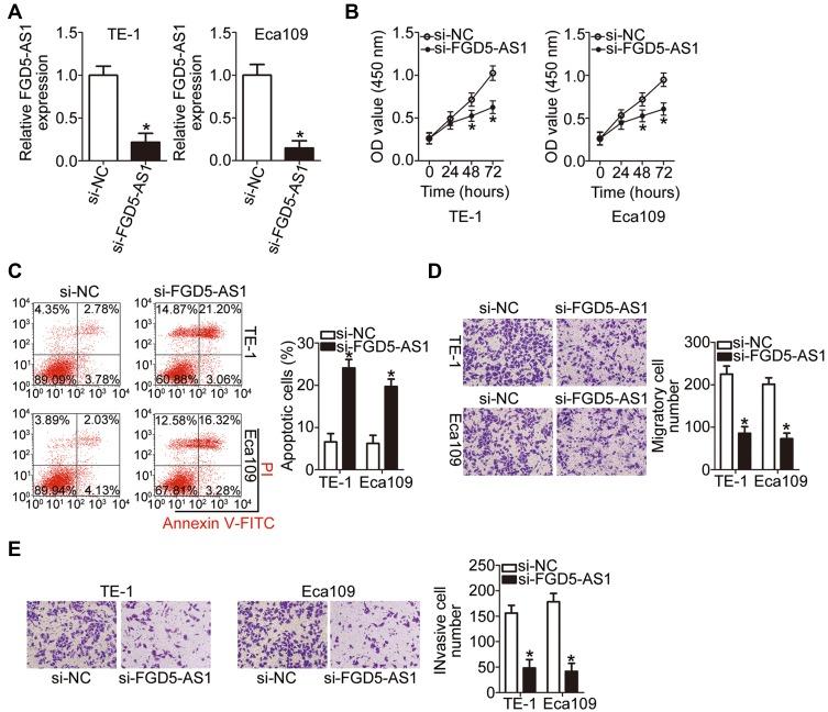 https://cdn.ncbi.nlm.nih.gov/pmc/blobs/6b93/7105361/e3516043f037/CMAR-12-2265-g0002.jpg