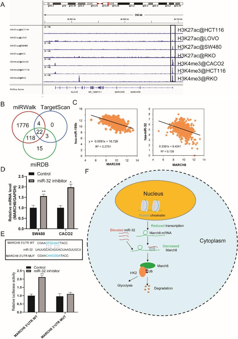 https://cdn.ncbi.nlm.nih.gov/pmc/blobs/6b93/9446774/d155899edcd7/12967_2022_3608_Fig5_HTML.jpg