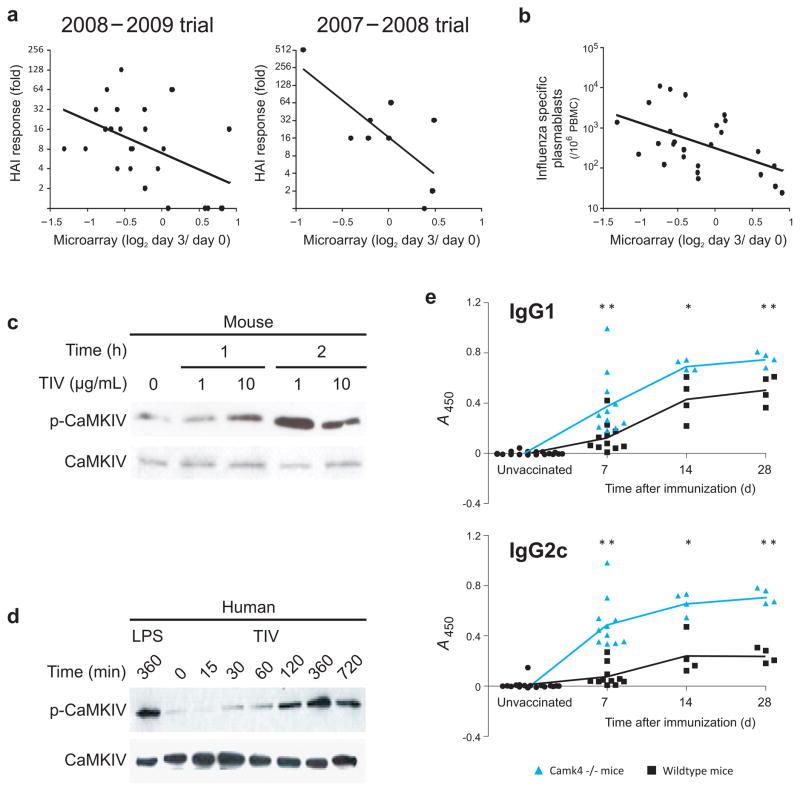 https://cdn.ncbi.nlm.nih.gov/pmc/blobs/6b95/3140559/dc5c0cc86109/nihms301940f6.jpg