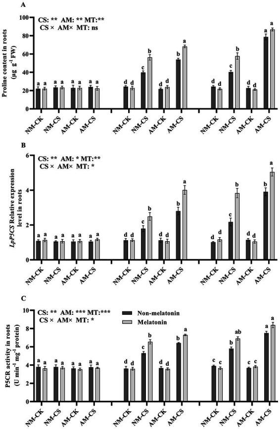 https://cdn.ncbi.nlm.nih.gov/pmc/blobs/6b98/10239815/fd699e72c38e/fmicb-14-1123632-g006.jpg
