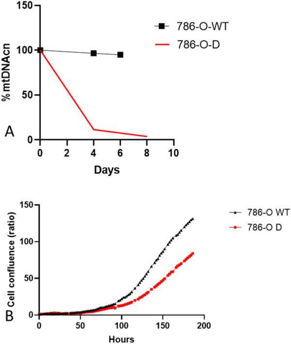 https://cdn.ncbi.nlm.nih.gov/pmc/blobs/6b98/12326136/5b691749c747/pore-31-1612172-g004.jpg