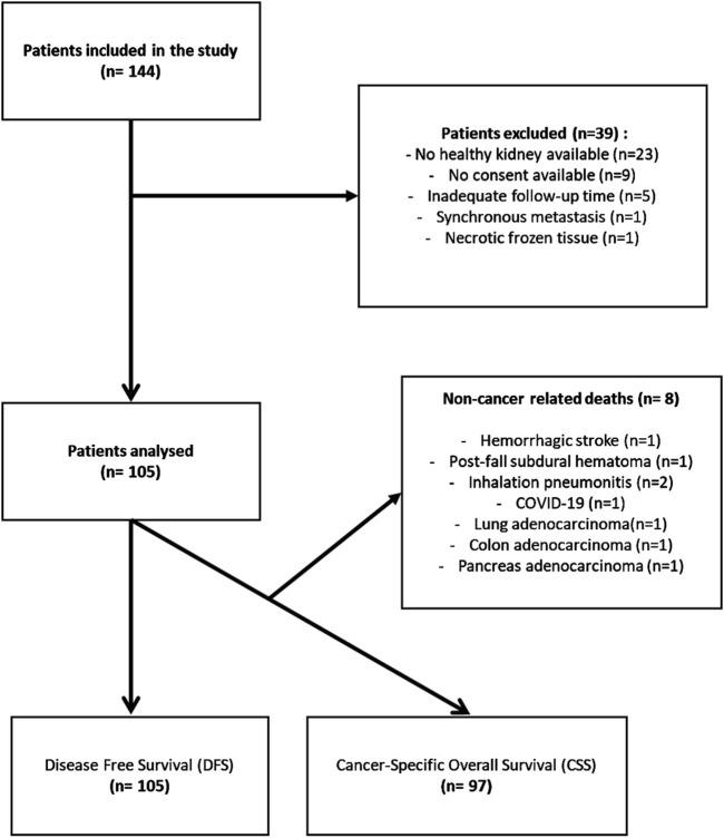 https://cdn.ncbi.nlm.nih.gov/pmc/blobs/6b98/12326136/a9cbcceaa1ee/pore-31-1612172-g001.jpg
