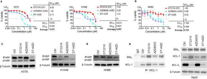 https://cdn.ncbi.nlm.nih.gov/pmc/blobs/6b98/9806104/5ded057cc81b/41420_2022_1296_Fig4_HTML.jpg