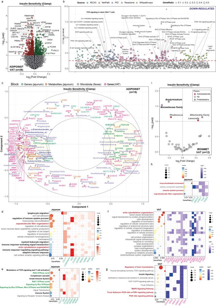 https://cdn.ncbi.nlm.nih.gov/pmc/blobs/6b9b/11874369/3c6ca78e983b/gutjnl-74-2-g005.jpg