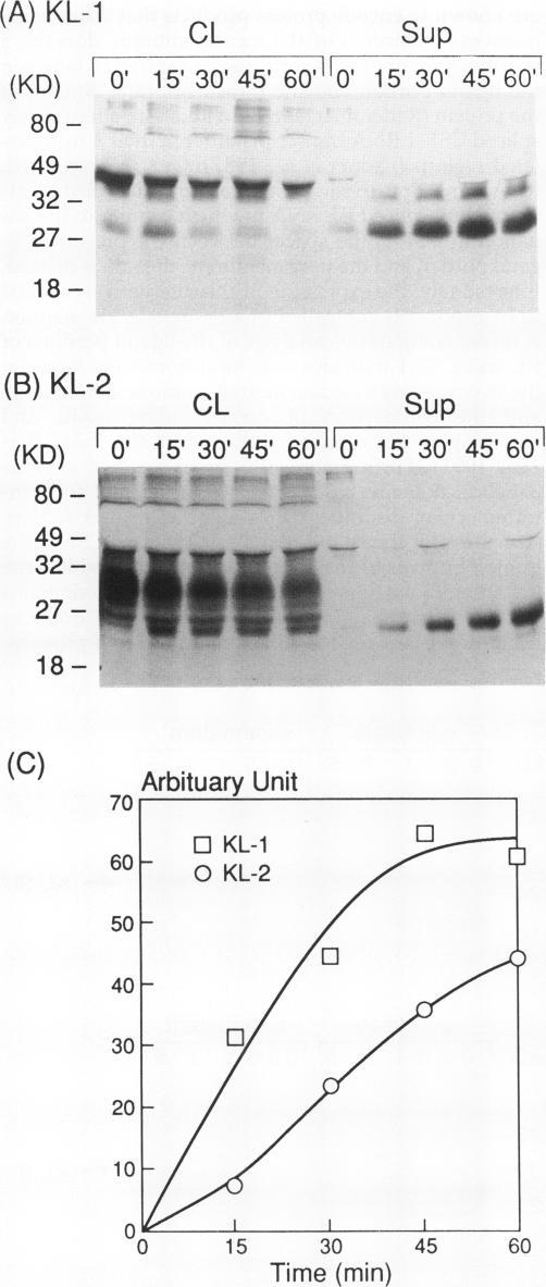 https://cdn.ncbi.nlm.nih.gov/pmc/blobs/6b9d/275535/995ad09b5a4c/mbc00061-0115-a.jpg