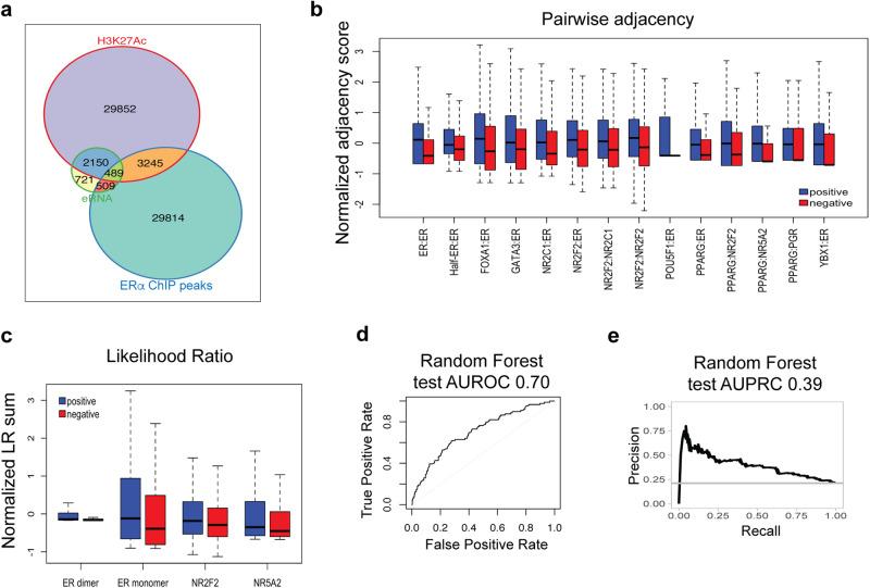 https://cdn.ncbi.nlm.nih.gov/pmc/blobs/6ba0/11167054/41d9c41973c1/42003_2024_6400_Fig2_HTML.jpg