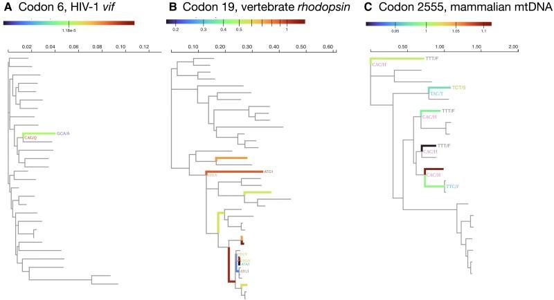 https://cdn.ncbi.nlm.nih.gov/pmc/blobs/6ba1/10336034/cae514cdac08/msad150f1.jpg