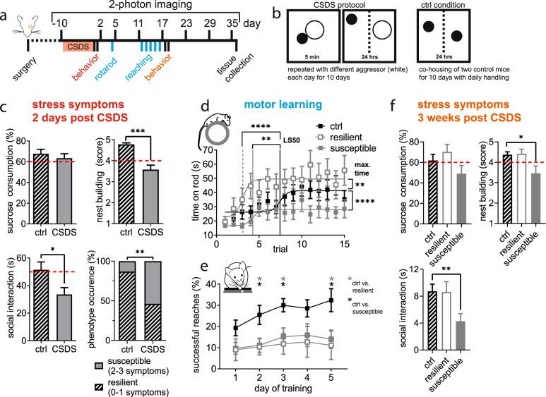 https://cdn.ncbi.nlm.nih.gov/pmc/blobs/6ba2/8897461/92963e16751c/41398_2022_1855_Fig1_HTML.jpg