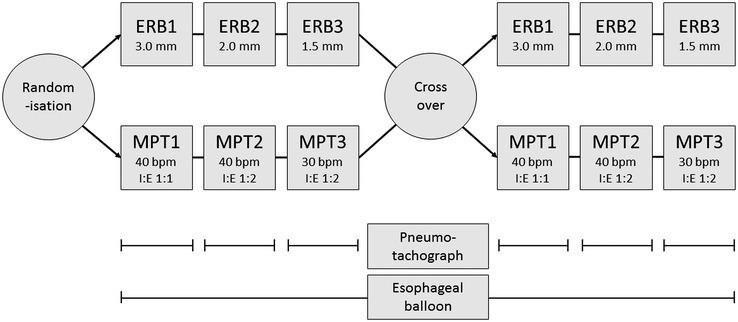 https://cdn.ncbi.nlm.nih.gov/pmc/blobs/6ba3/7894562/0326eace0026/EPH-106-532-g003.jpg