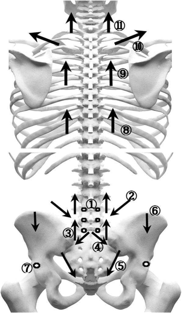 https://cdn.ncbi.nlm.nih.gov/pmc/blobs/6ba4/6291972/a8fd9b61779c/13063_2018_3049_Fig3_HTML.jpg