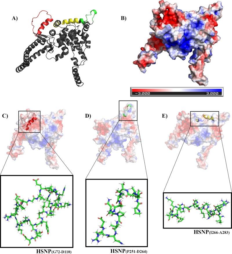 https://cdn.ncbi.nlm.nih.gov/pmc/blobs/6ba8/6913923/807693292fc2/pntd.0007915.g003.jpg