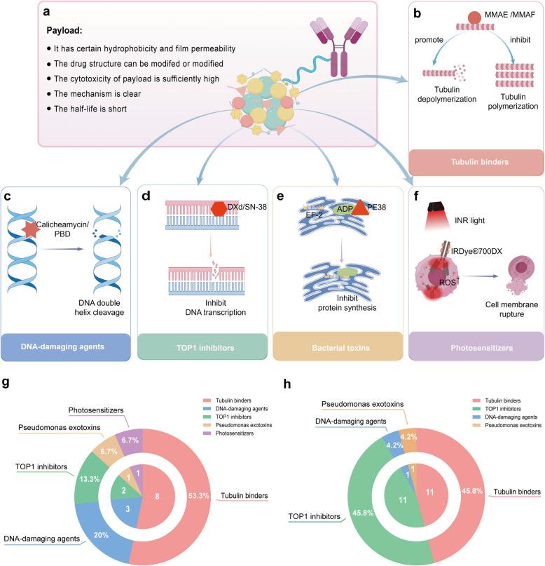 https://cdn.ncbi.nlm.nih.gov/pmc/blobs/6bac/12044742/da00edbaa8bc/13045_2025_1704_Fig6_HTML.jpg