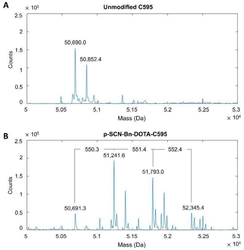 https://cdn.ncbi.nlm.nih.gov/pmc/blobs/6bac/9563759/9c998626c776/cells-11-02983-g002.jpg