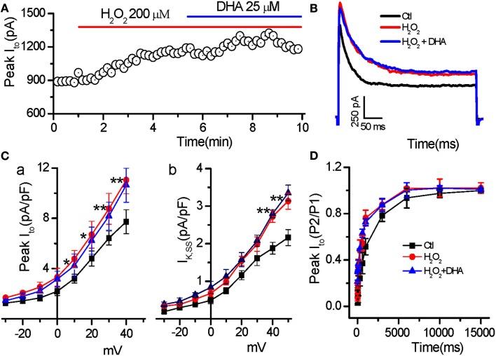 https://cdn.ncbi.nlm.nih.gov/pmc/blobs/6bad/3429029/18ecc588e287/fphys-03-00252-g004.jpg
