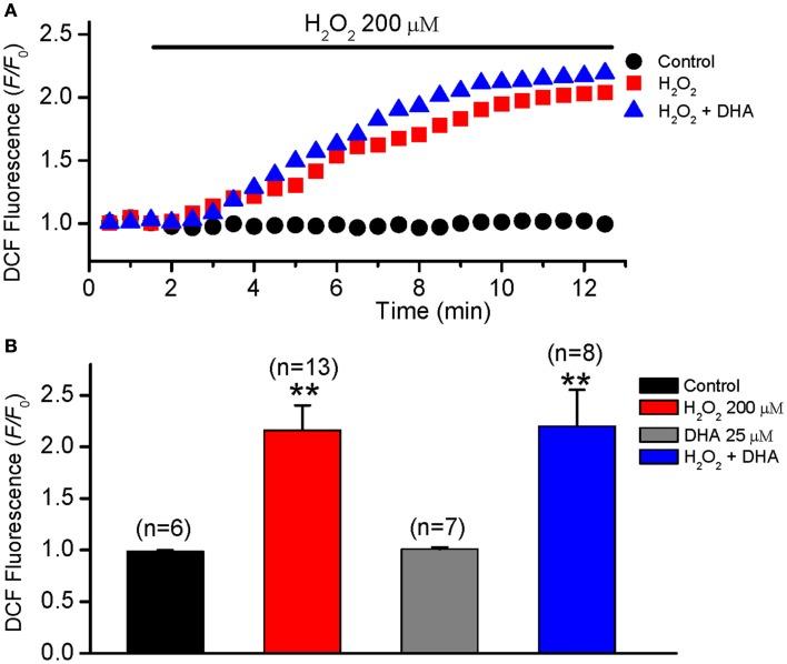 https://cdn.ncbi.nlm.nih.gov/pmc/blobs/6bad/3429029/a7917bd3dbd9/fphys-03-00252-g005.jpg