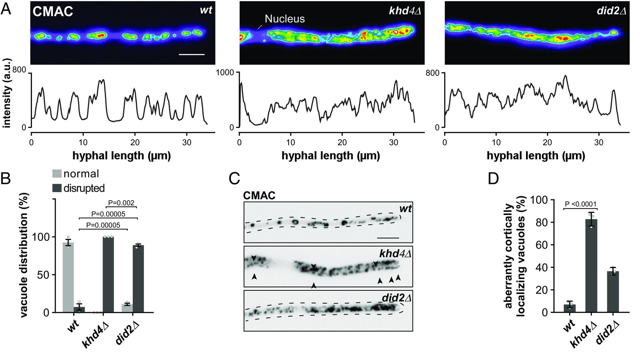 https://cdn.ncbi.nlm.nih.gov/pmc/blobs/6bae/10450656/5a0561cb8bcf/pnas.2301731120fig07.jpg