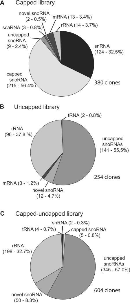 https://cdn.ncbi.nlm.nih.gov/pmc/blobs/6bae/2875012/bdf13f3764b4/gkp1241f1.jpg
