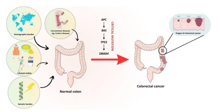 https://cdn.ncbi.nlm.nih.gov/pmc/blobs/6bb1/10814900/4196db1a5e77/cimb-46-00010-g001.jpg