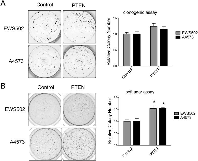 https://cdn.ncbi.nlm.nih.gov/pmc/blobs/6bb1/4300218/4c96560c35ff/pone.0116895.g006.jpg