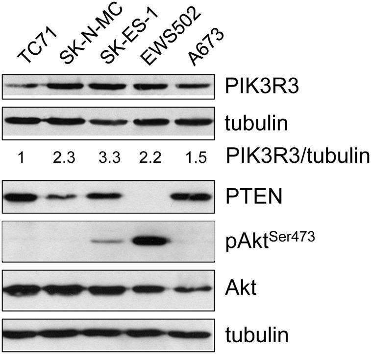 https://cdn.ncbi.nlm.nih.gov/pmc/blobs/6bb1/4300218/5c9e4cff1d8e/pone.0116895.g001.jpg