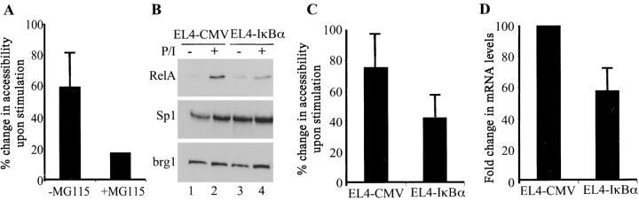 https://cdn.ncbi.nlm.nih.gov/pmc/blobs/6bb2/2193861/df4286de2237/20021039f4.jpg