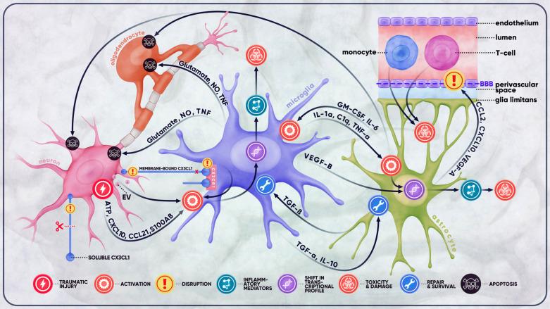 https://cdn.ncbi.nlm.nih.gov/pmc/blobs/6bb2/9886840/ab2389e95f95/CN-20-2050_F1.jpg