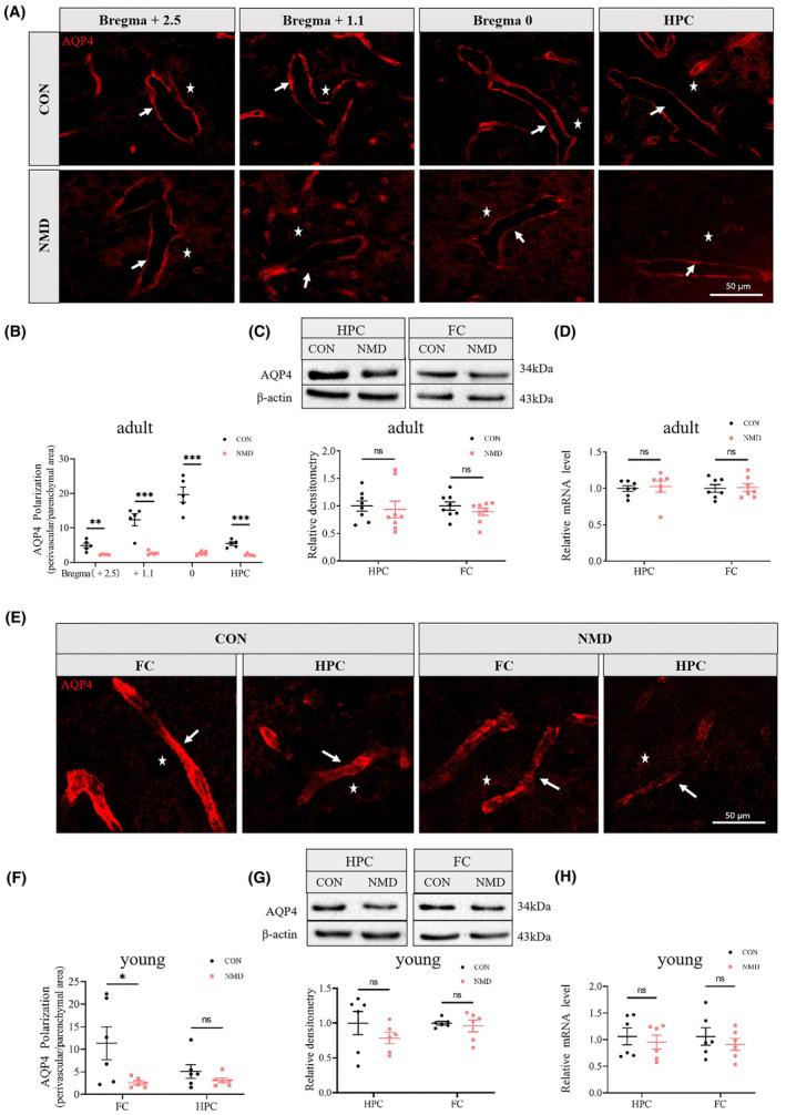 https://cdn.ncbi.nlm.nih.gov/pmc/blobs/6bb5/10851323/1e4cfa0a2d40/CNS-30-e14587-g007.jpg