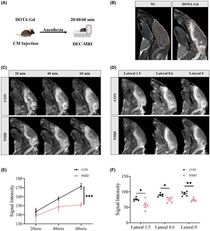 https://cdn.ncbi.nlm.nih.gov/pmc/blobs/6bb5/10851323/f4922cee21b9/CNS-30-e14587-g004.jpg