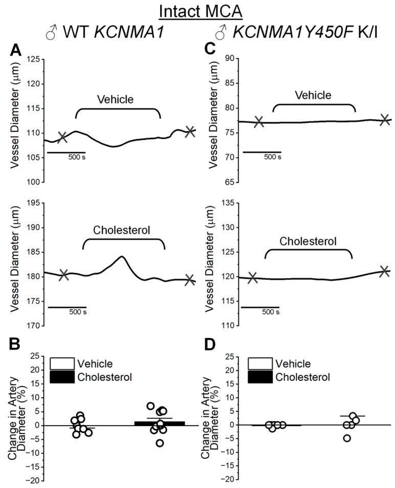 https://cdn.ncbi.nlm.nih.gov/pmc/blobs/6bb5/12028221/2166e4de2123/ijms-26-03814-g006.jpg