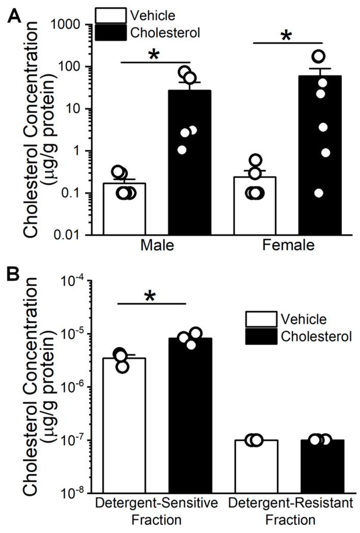 https://cdn.ncbi.nlm.nih.gov/pmc/blobs/6bb5/12028221/6e257b2d8ca2/ijms-26-03814-g001.jpg