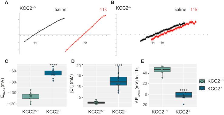 https://cdn.ncbi.nlm.nih.gov/pmc/blobs/6bb5/7949141/7f7bf1f889af/gr3.jpg