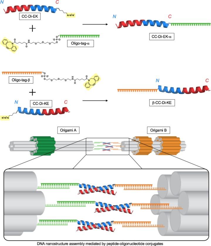 https://cdn.ncbi.nlm.nih.gov/pmc/blobs/6bb6/6764022/e77af71187f0/nn9b04251_0004.jpg