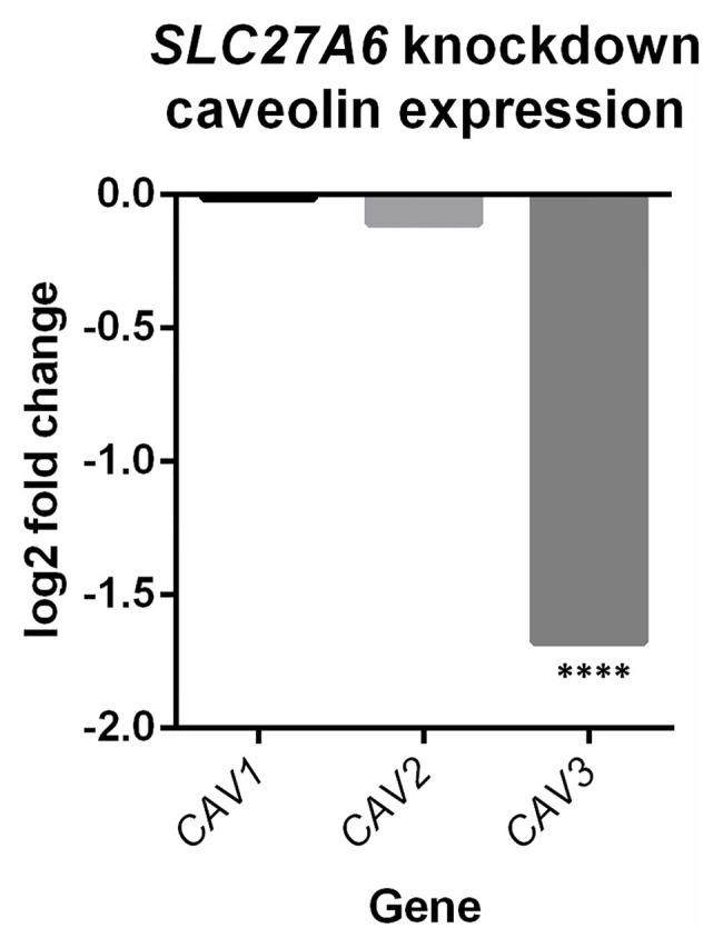 https://cdn.ncbi.nlm.nih.gov/pmc/blobs/6bb6/7933688/0edab9e3a3f0/fgene-12-588452-g003.jpg