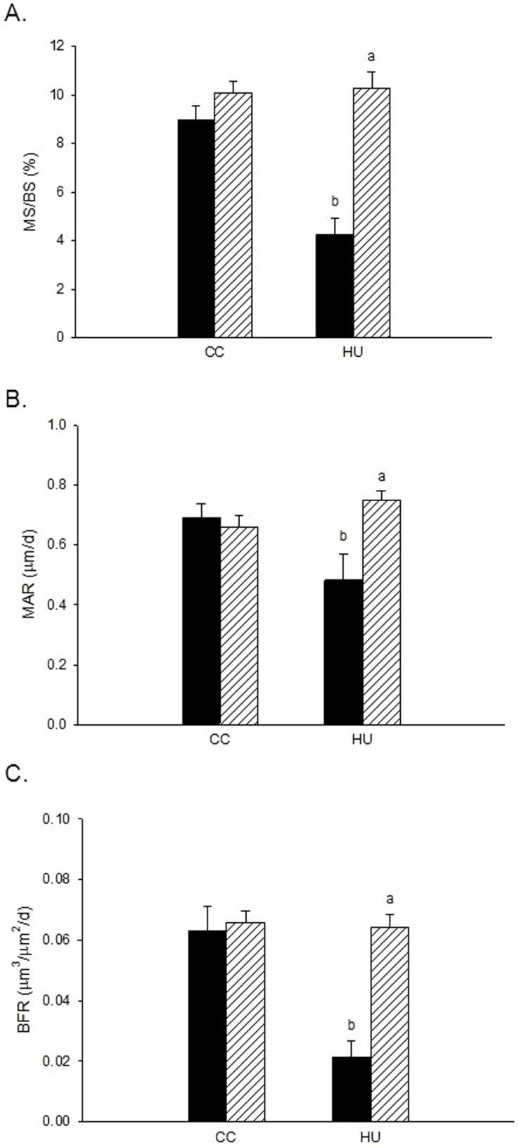 https://cdn.ncbi.nlm.nih.gov/pmc/blobs/6bb8/4161377/9fc80fcf7f6f/pone.0106904.g005.jpg
